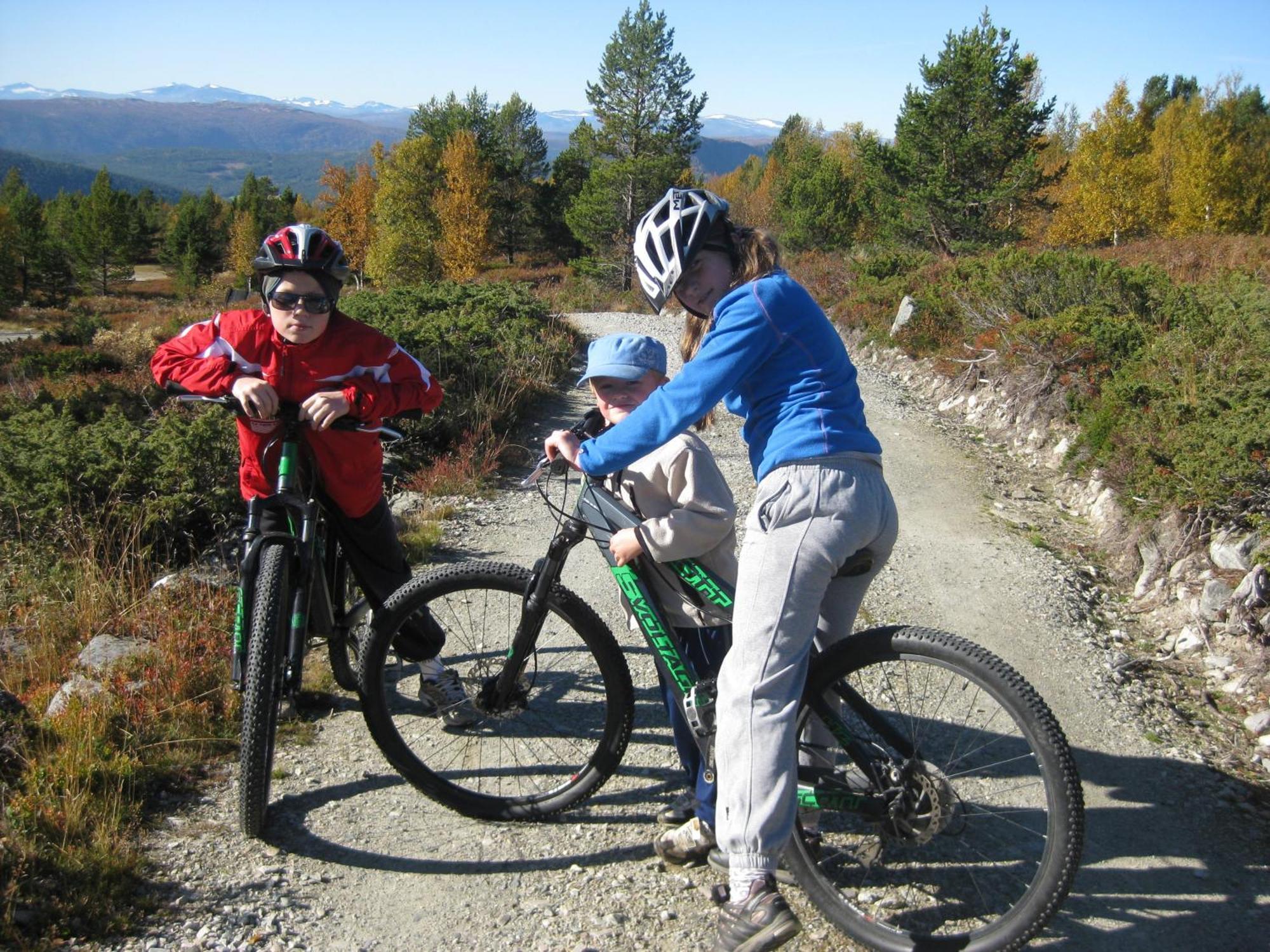 Putten Seter Høvringen Екстериор снимка