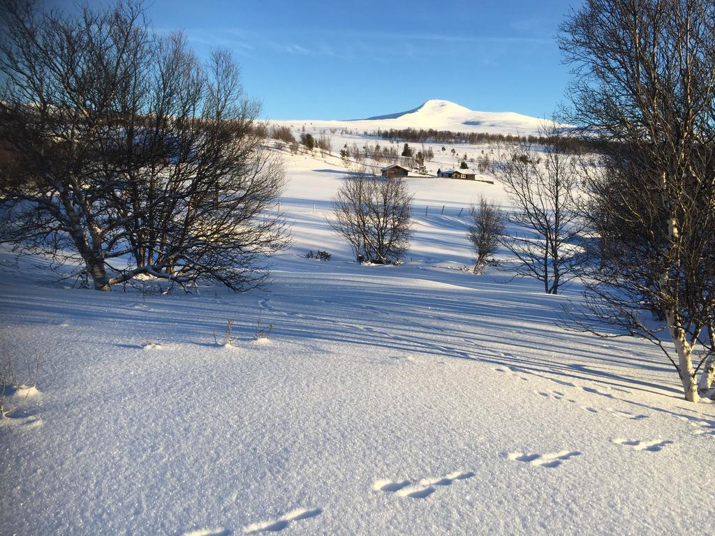 Putten Seter Høvringen Екстериор снимка
