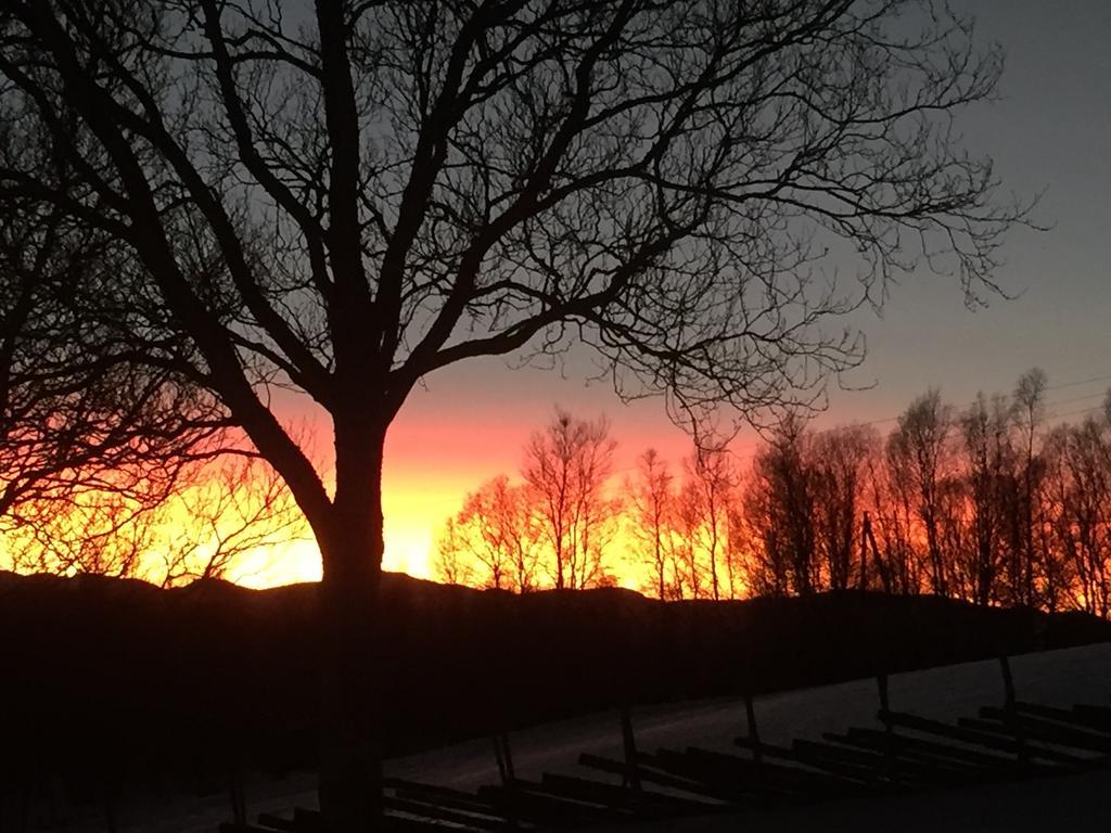 Putten Seter Høvringen Екстериор снимка